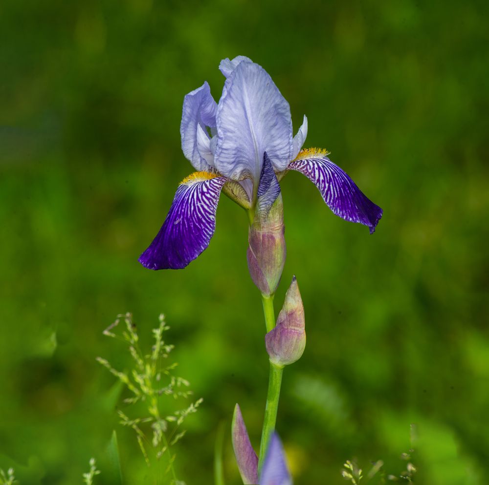 Photograph by Илья Чирков