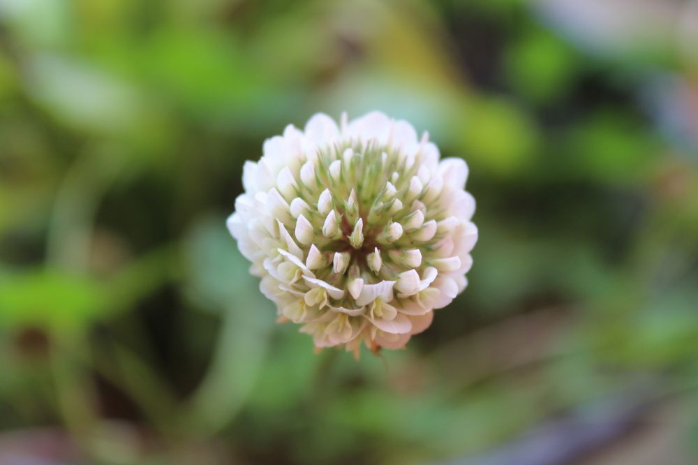 Photograph by Francisco Ferreira