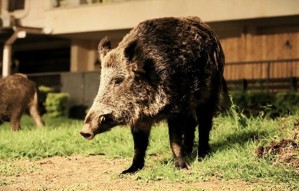 Photograph by Дмитрий Куркулин