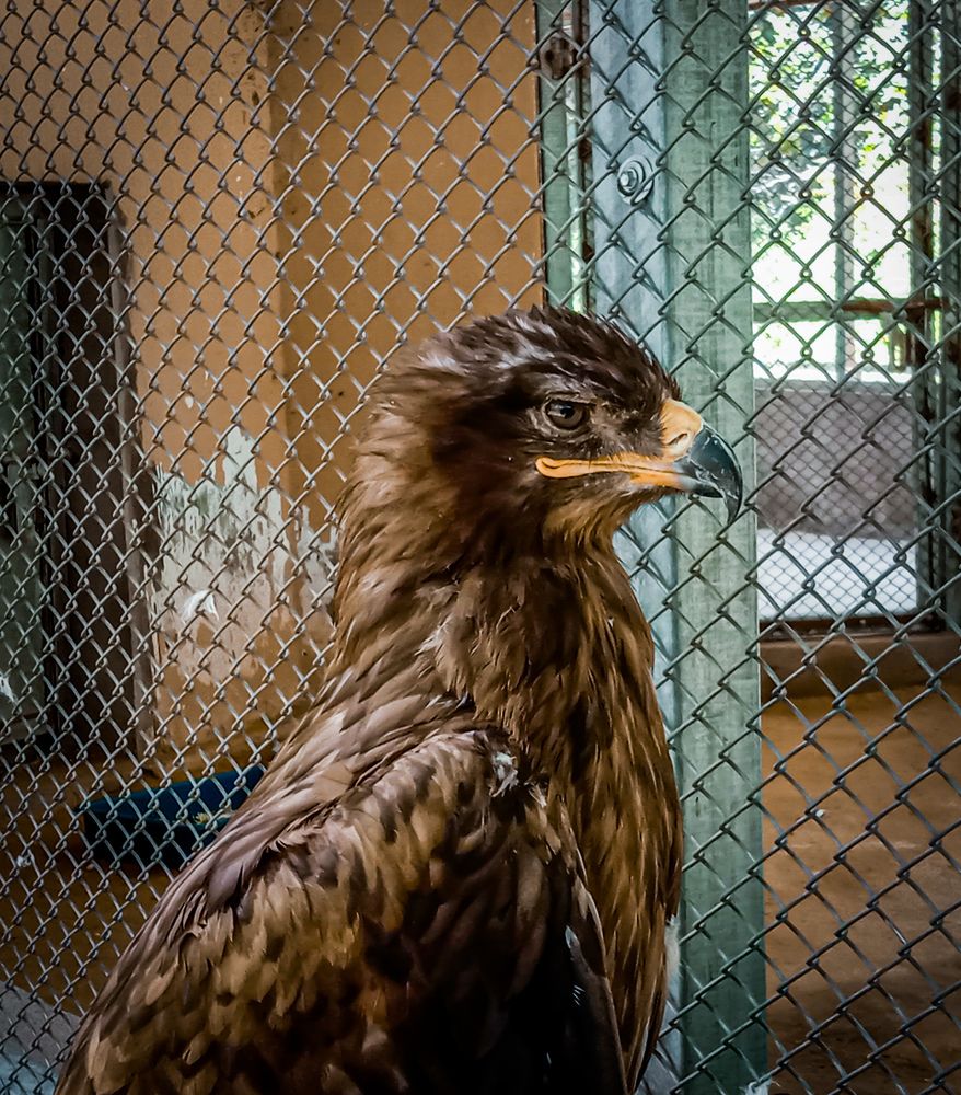 Photograph by Kishan Upadhyay