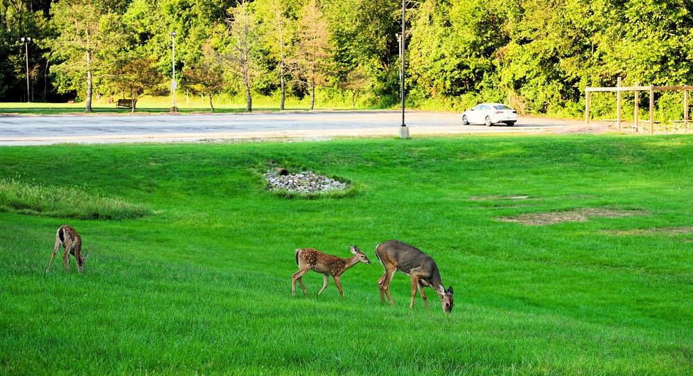 Photograph by Дмитрий Куркулин