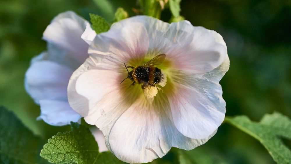 Photograph by Руслан Ибрагимов