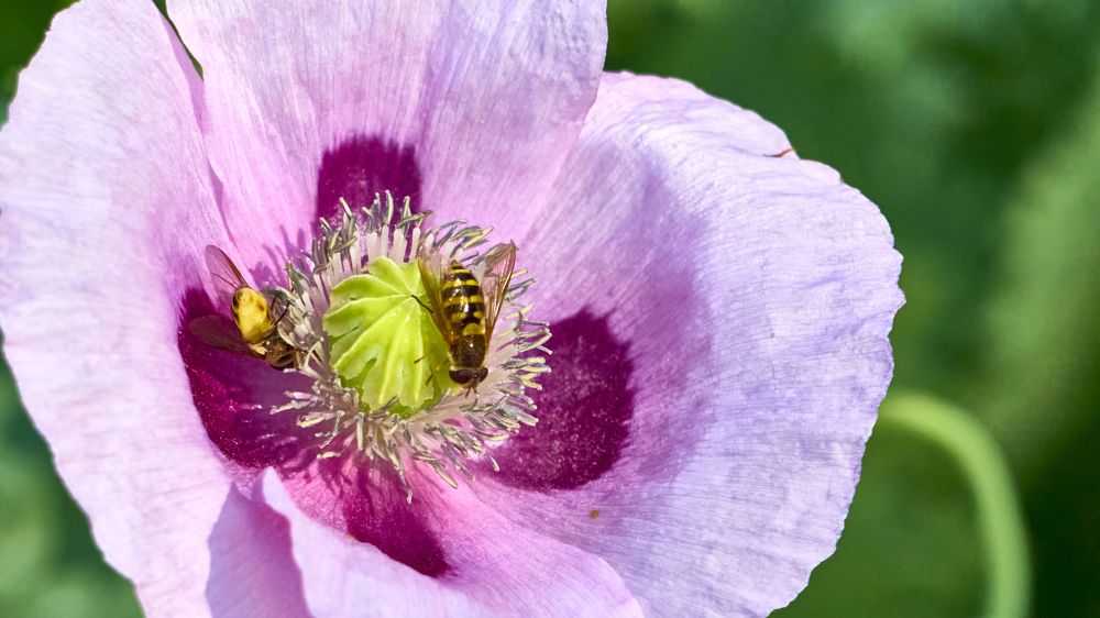 Photograph by Руслан Ибрагимов