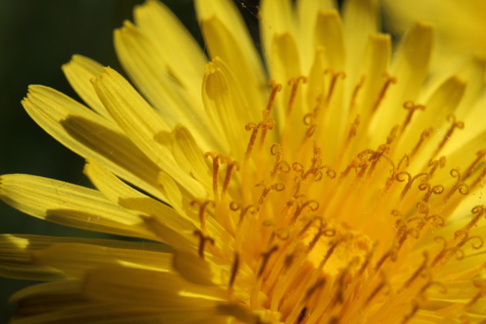 Photograph by Валентина