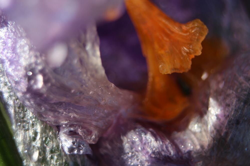 Photograph by Валентина