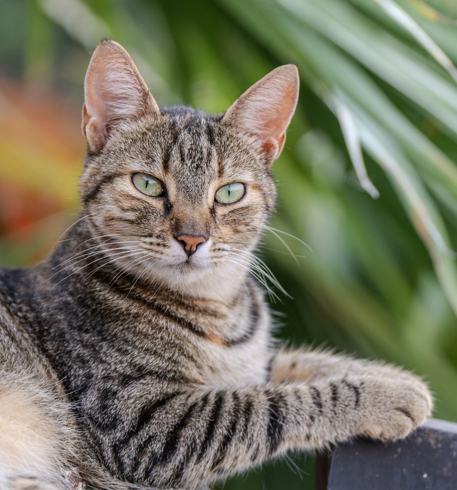 Photograph by Сергей Жиркевич