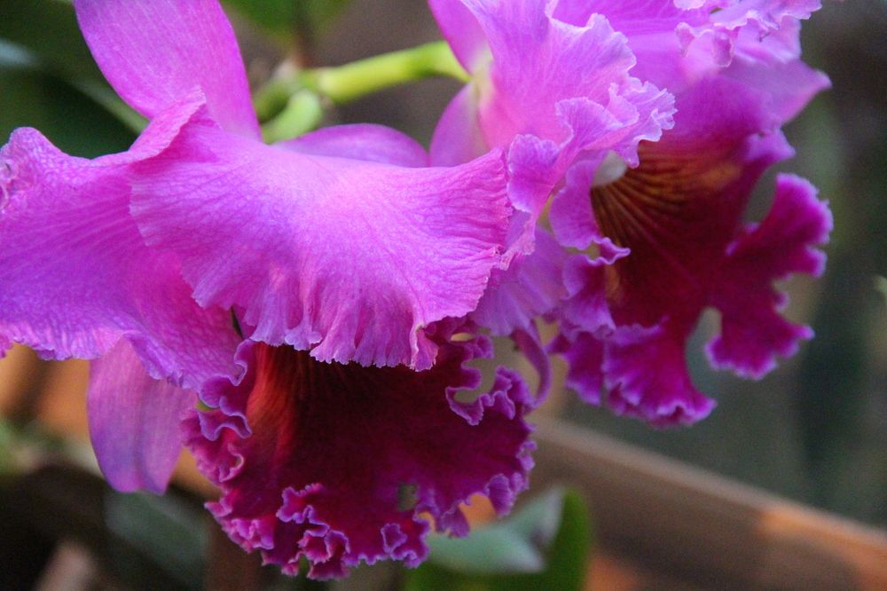 Photograph by Валентина