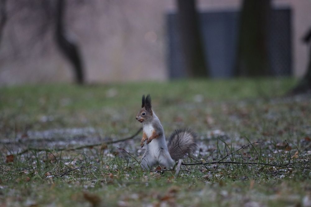 Фотография автора Колосова Елена