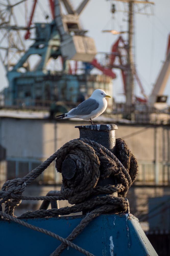 Photograph by Шейко Анна