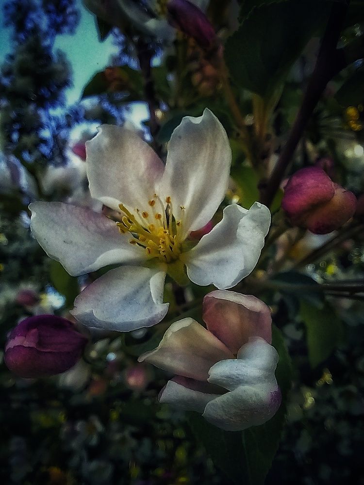 Photograph by Марина Егорова