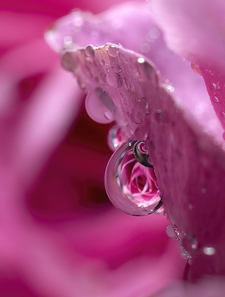 Photograph by Людмила Железнова