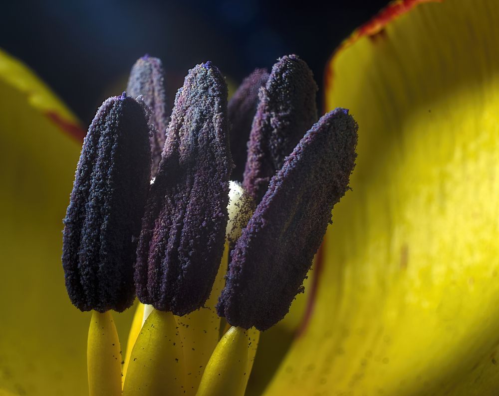 Photograph by Людмила Железнова