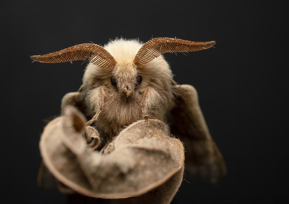 Photograph by Людмила Железнова