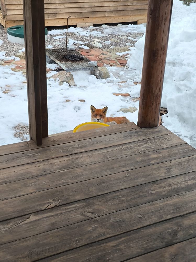 Photograph by Шейко Анна