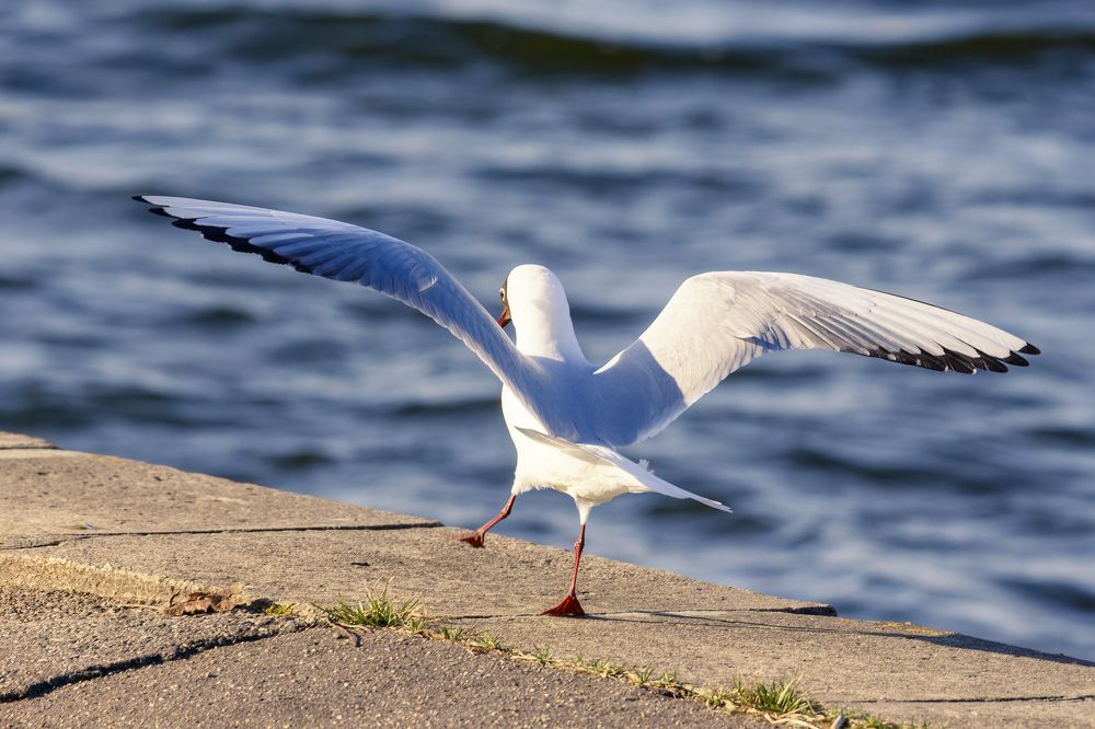 Photograph by Валерия Трейтяк