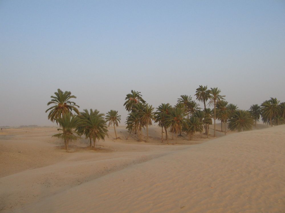 Photograph by Vladimir Rybalko