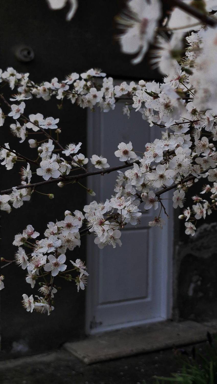 Photo #10883408