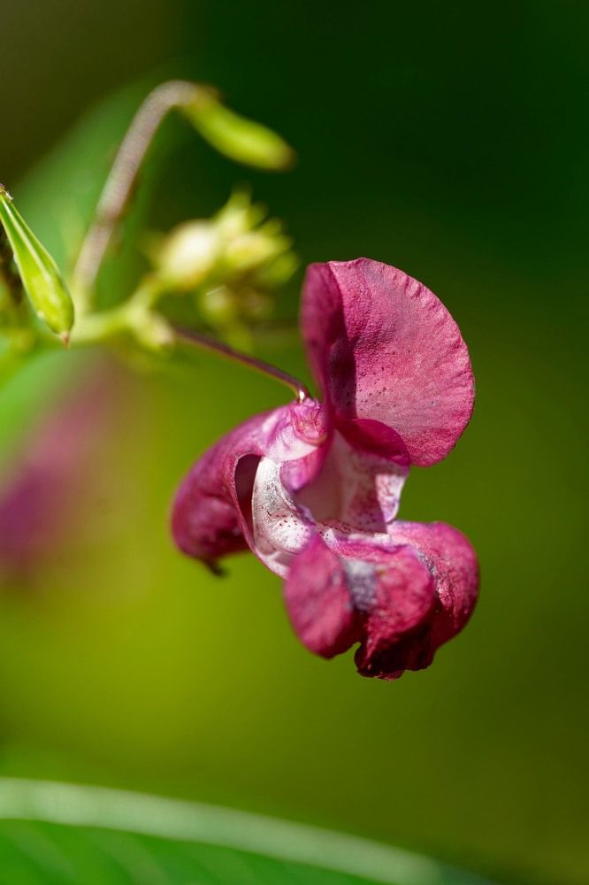 Photograph by Pavel Morozov