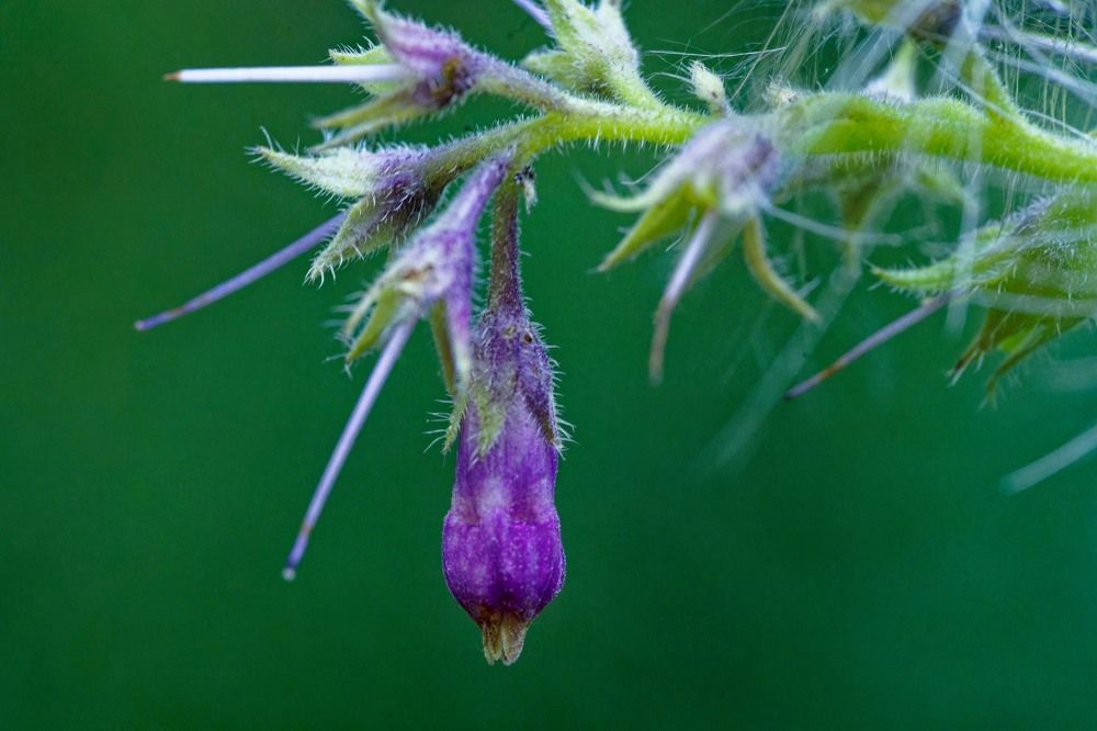 Photograph by Pavel Morozov