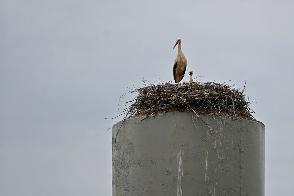 Photograph by Давыдова Ирина