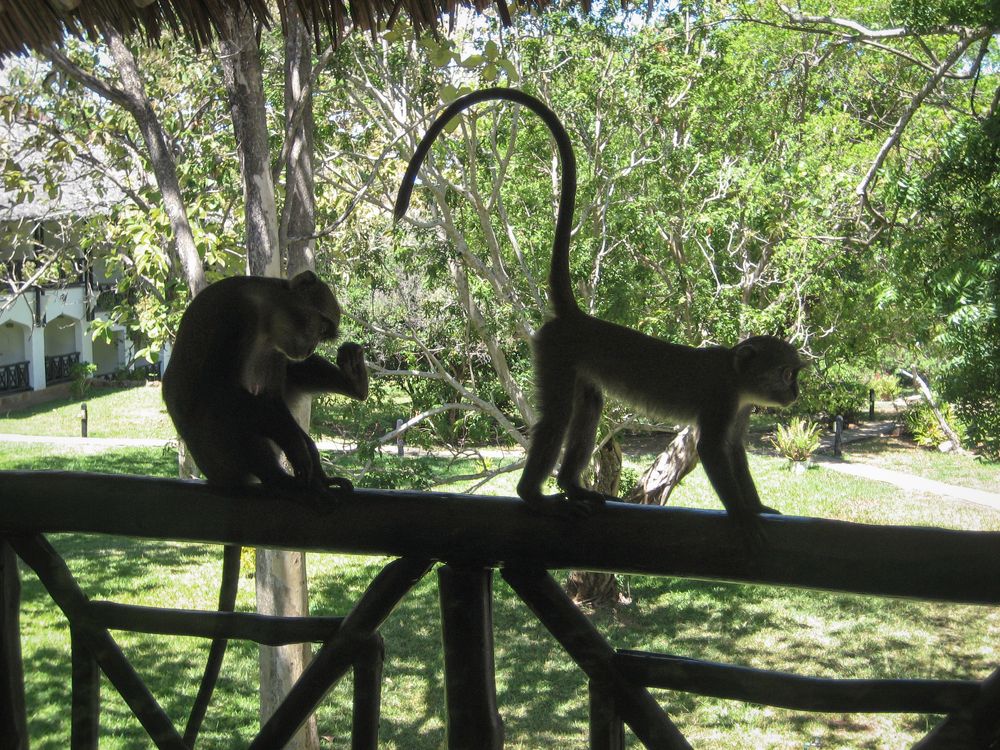 Photograph by Inna Ivanova