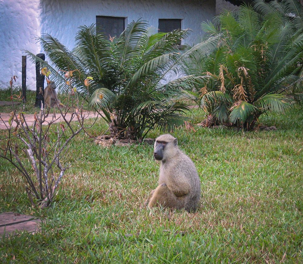 Photograph by Inna Ivanova