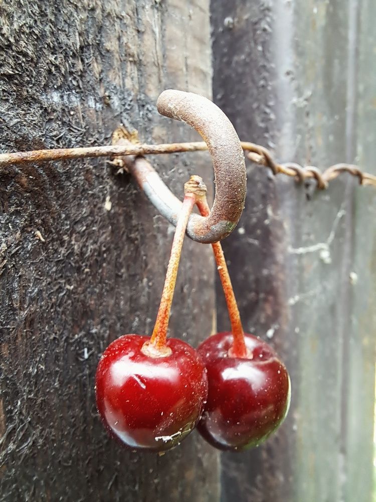 Photograph by Марина Леонова