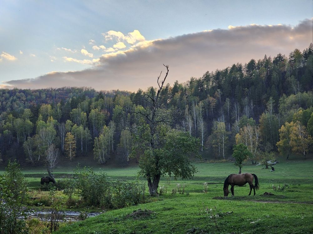 Фотография автора Эльвира