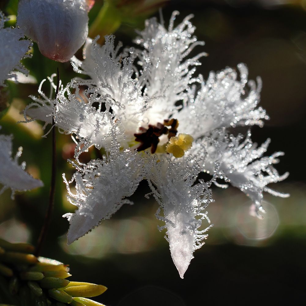 Photograph by Алексей Поляков