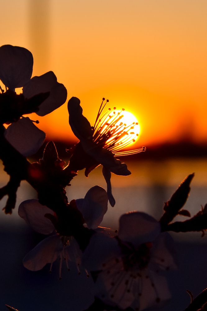 Photograph by Наталья Темная