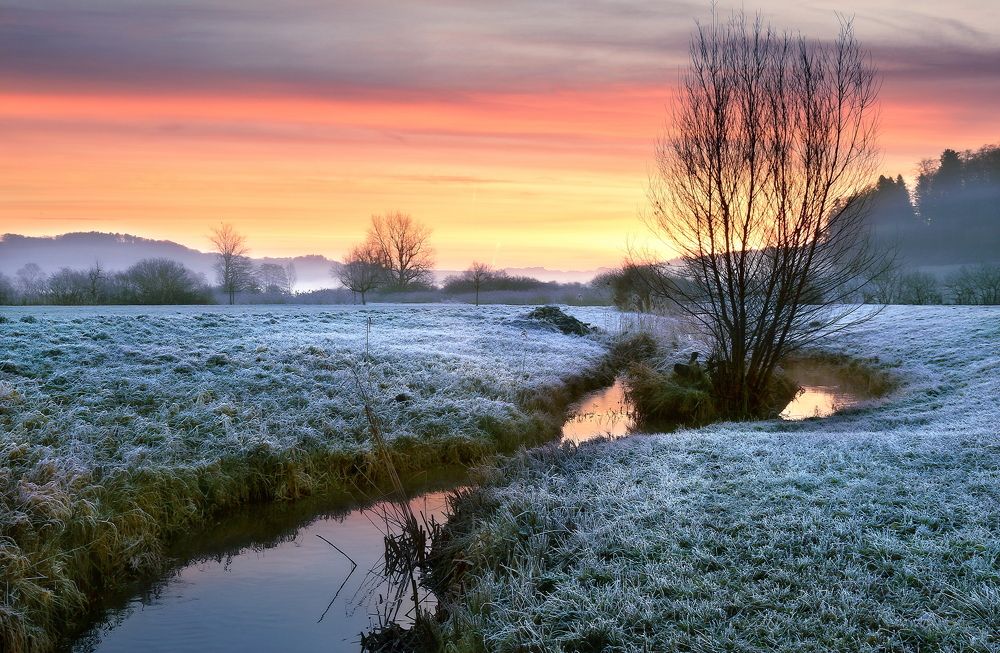 Photograph by Wymann Elena