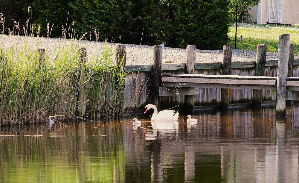 Photograph by Дмитрий Куркулин