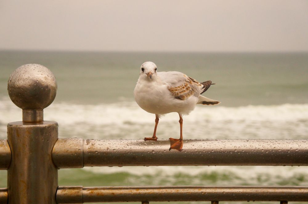 Фотография автора Ксения