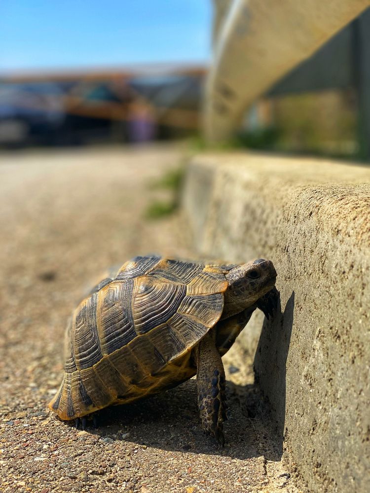 Фотография автора Екатерина Круглик