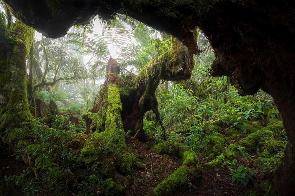 Photograph by Valdir Hobus