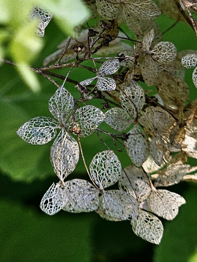 Photograph by Галина Левина