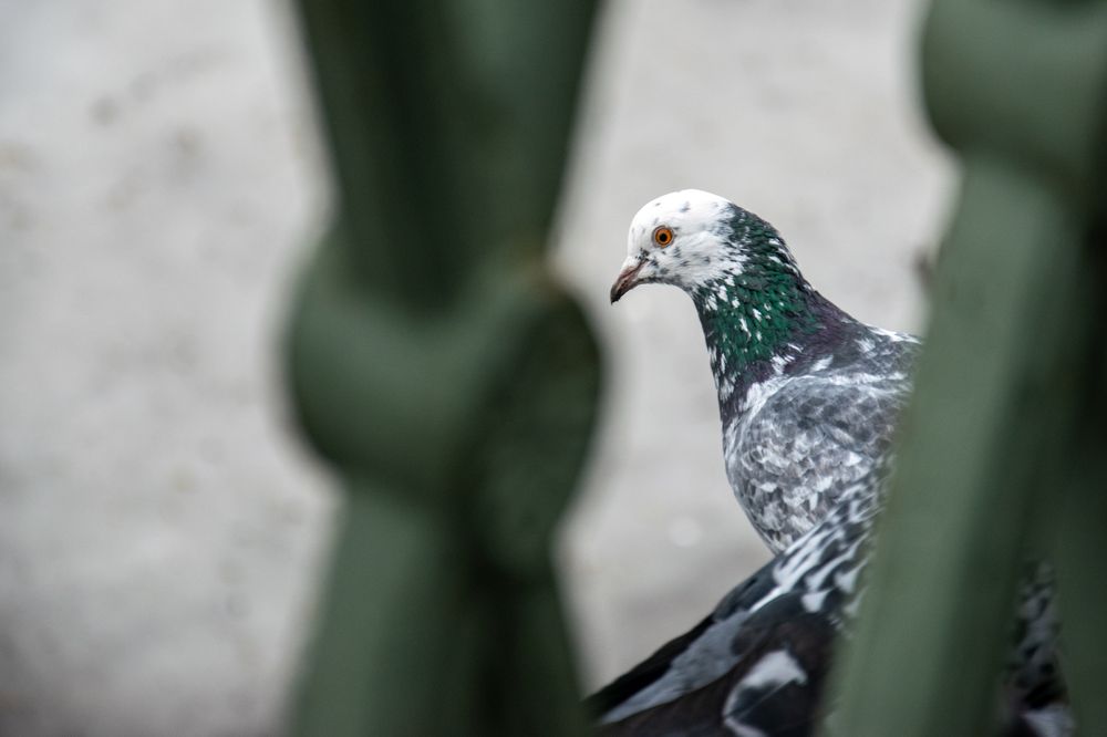 Photograph by Nora Cheprasova