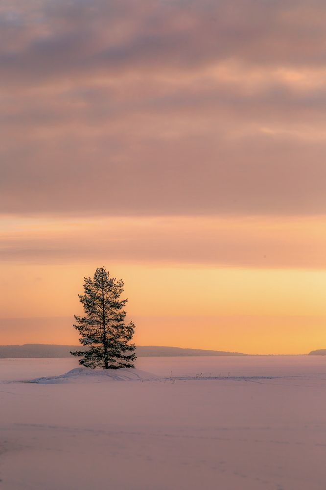 Photograph by Дмитрий Петухов