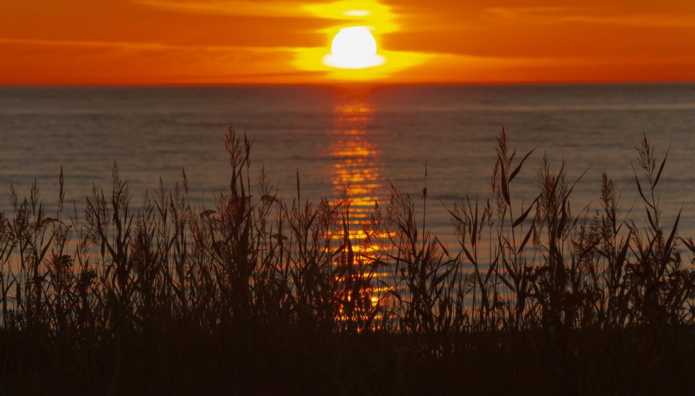 Фотография автора Вадим Лабитов