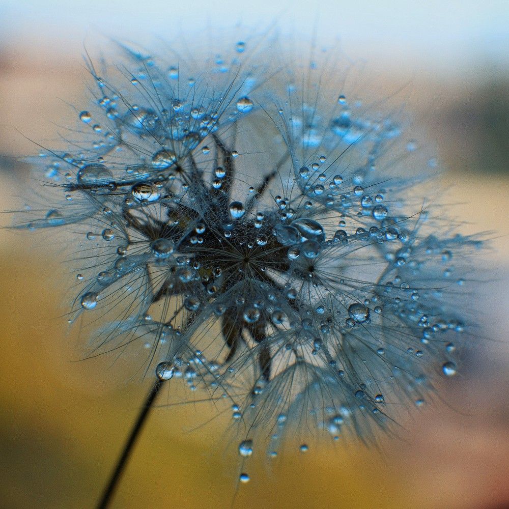 Photograph by Татьяна Максакова