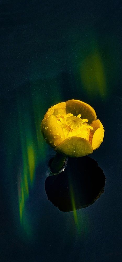 Photograph by Галина Левина