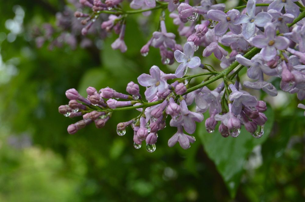 Photograph by Анна Богданова