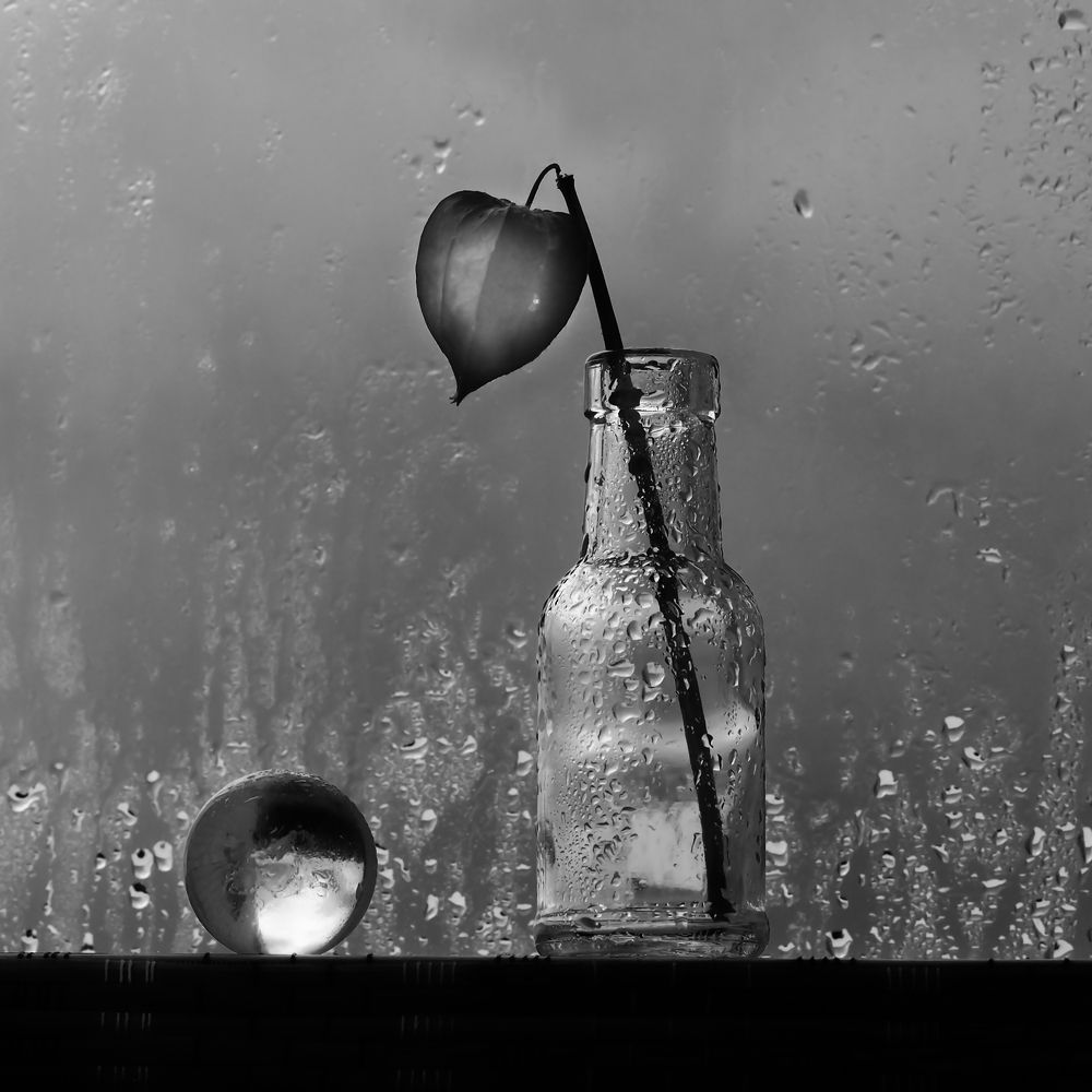 Без названия