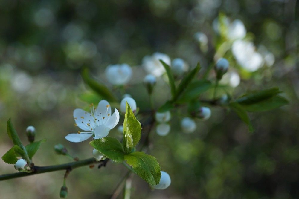 Photograph by Наталья Горбунова