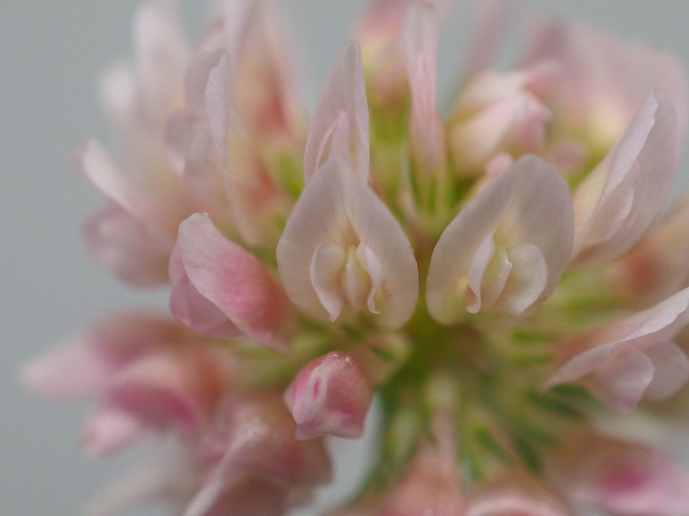 Photograph by Natalia Novikova