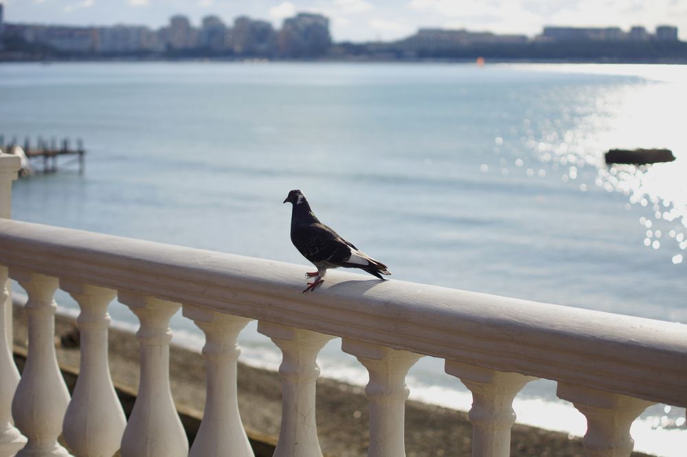 Photograph by Юлия Воскобойникова