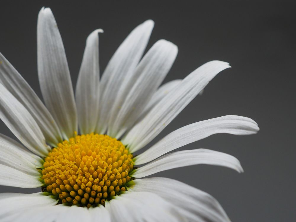 Photograph by Natalia Novikova