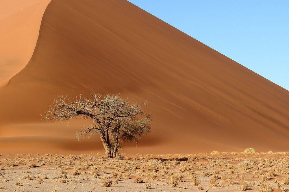 Namibia