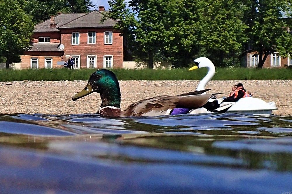 Photograph by Станислав Карташов