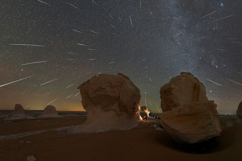 Under the cover of starry rain